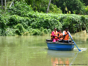 Boating (Rowing Boat)