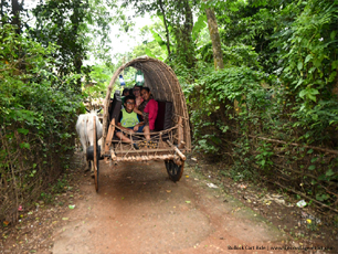 Bullock Cart Ride