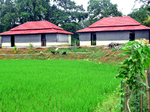 Dhananjay Jangalmahal Eco Village Tourist Resort