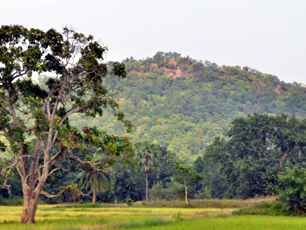 Gurrasini Hill (Panoramic View)