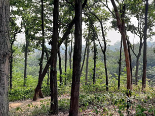 Phuldungri