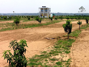 Kodopal Agro Project